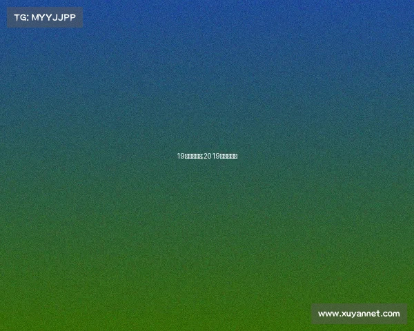 19年国安赛事;2019年国安阵容